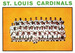 Cardinals Team