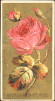 1890 N164 
Flowers