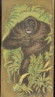 1890 N216 
Animals