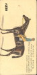 1890 N230 Famous 
Running Horses English