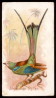 1890 N23 Song 
Birds of the World