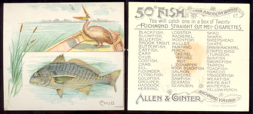 buying old baseball cards and N39 Fish from American Waters