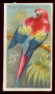 1889 N5 Birds of 
the Tropics
