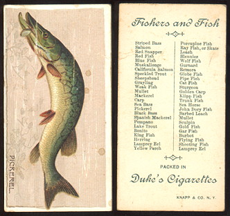 1880's W. Duke Sons & Co. cigarettes tobacco card