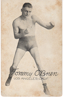 exhibit boxing Cards.