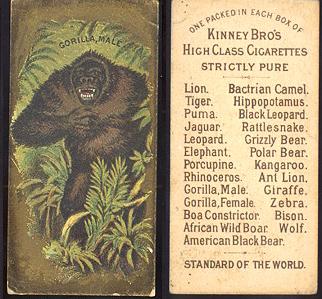 1880's Kinney Bros. Tobacco Co. cigarettes tobacco card