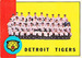 Tigers Team