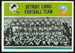 Lions Team