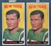Don Maynard