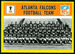 Falcons Team