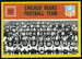 Bears Team