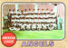 Angels Team