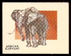 1951 Topps Animals of the World